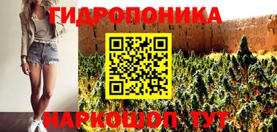 спиды Ливны