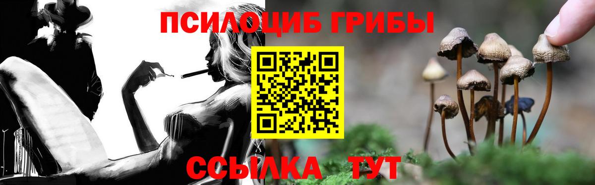 Псилоцибиновые грибы Psilocybe  Вход с VPN  Знаменск  Галлюциногенные грибы Magic Shrooms 